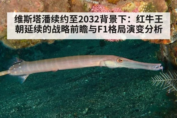 维斯塔潘续约至2032背景下：红牛王朝延续的战略前瞻与F1格局演变分析 | hth