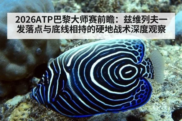 2026ATP巴黎大师赛前瞻：兹维列夫一发落点与底线相持的硬地战术深度观察